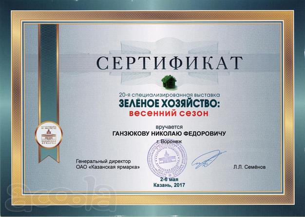 Реализую рассаду суперкрупноплодной клубники.